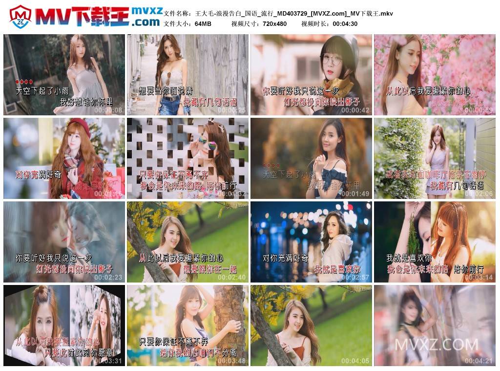 王大毛-浪漫告白_国语_流行_MD403729